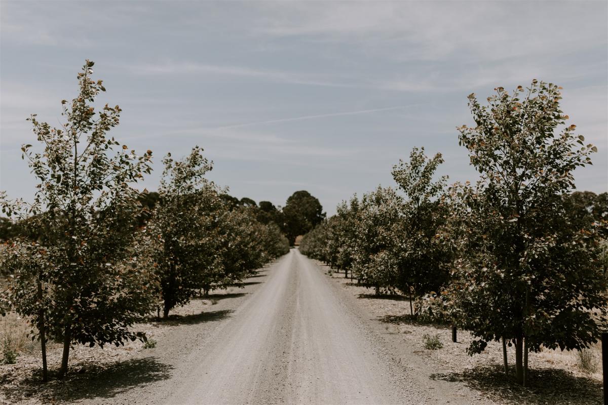 KWH bride Rachael's Miltolto Winery Venue