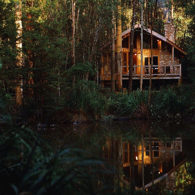 Lust worthy romantic honeymoon destinations in Australia, secluded honeymoon destinations, rain forest lodge retreat honeymoon; Woodlands Retreat.