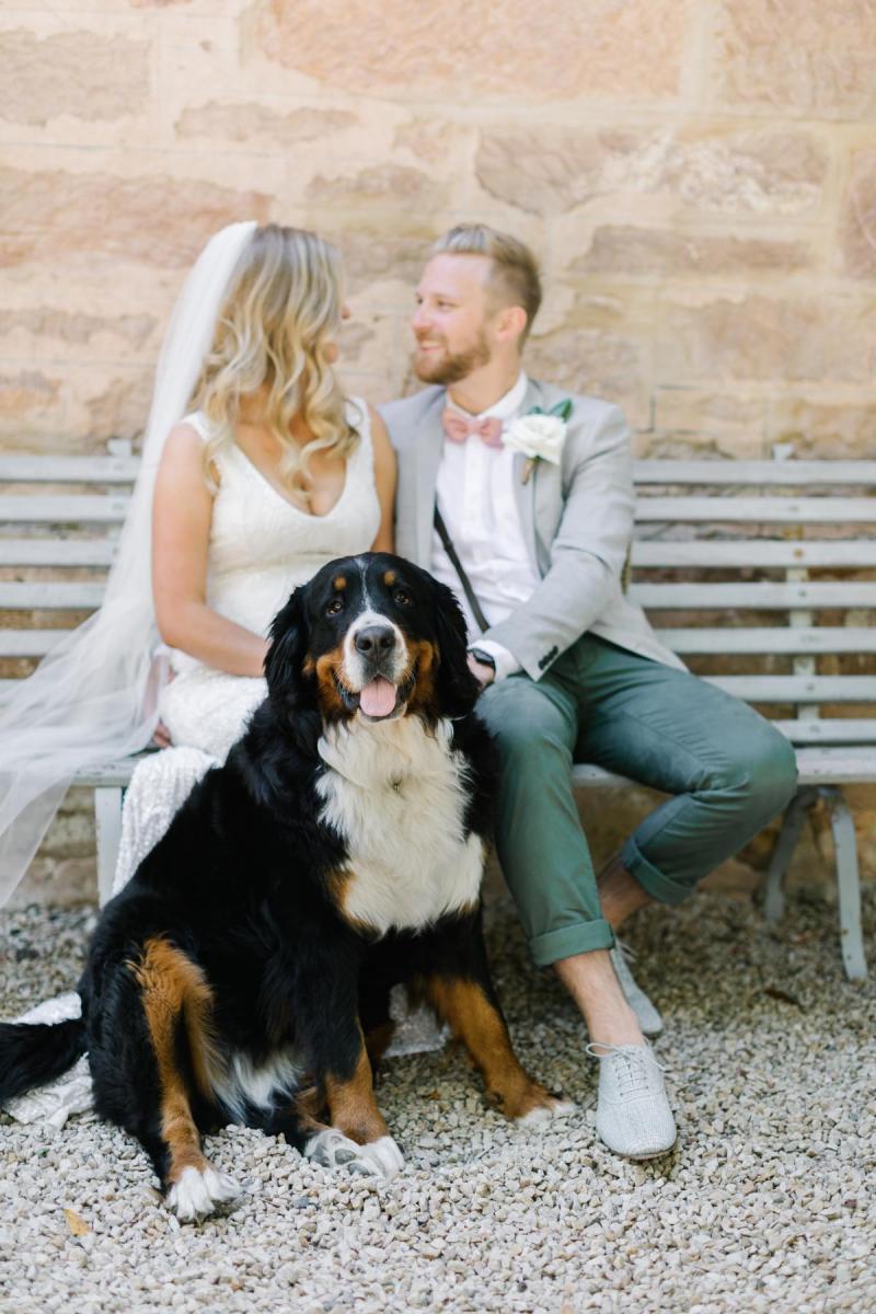 KWH real bride Bec sits on a bench with Nick and her Bernese mountain dog. She wears the fit and flare Olympia wedding dress.