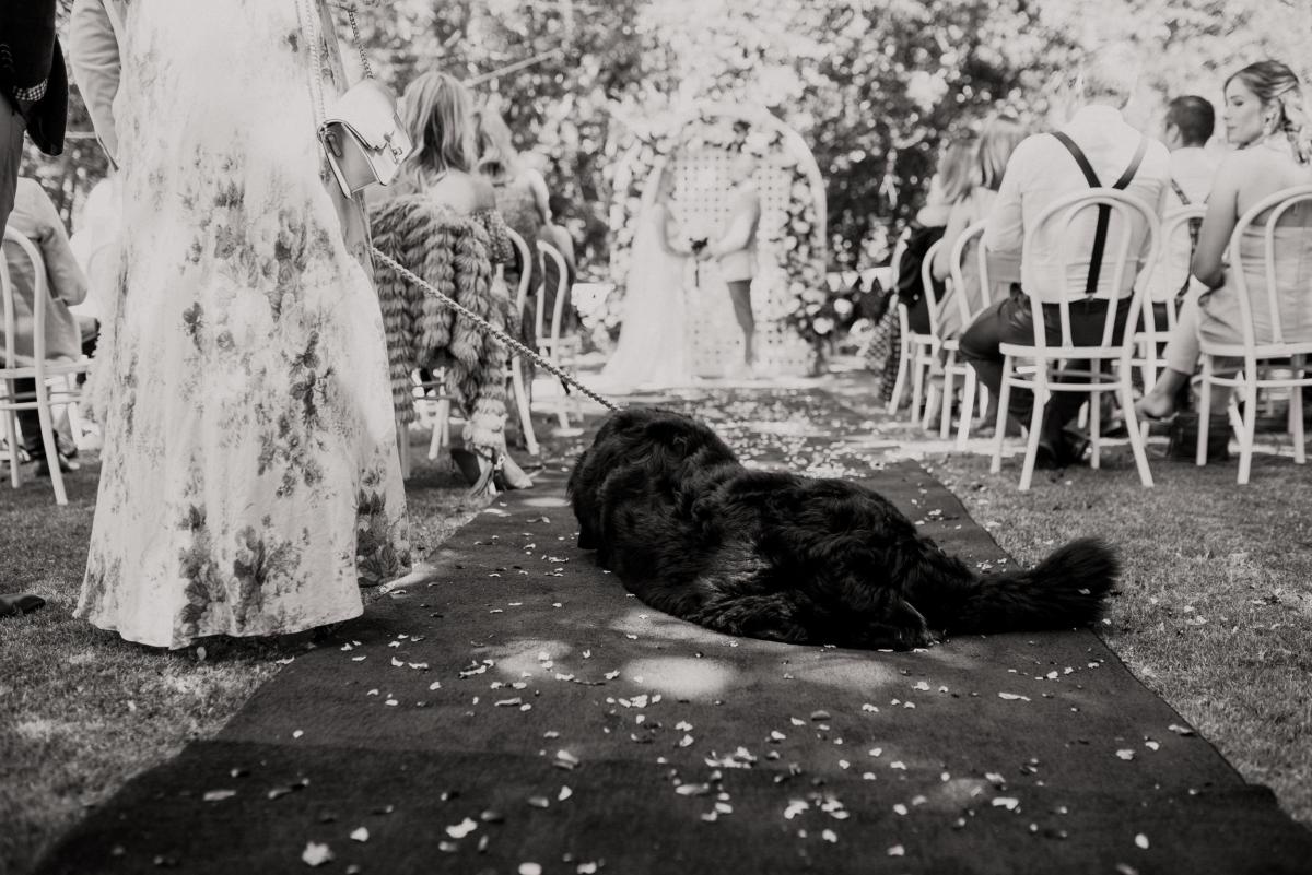 KWH real bride Bec stands at the alter with Nick as her dog lies in the aisle. She wears the modern Olympia wedding dress with v-neck.