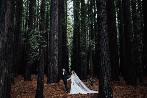 KWH real bride Jaci walks through the dark forest with Rick. She wears the minimalist Aubrey wedding dress with low back and long train.
