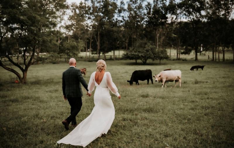 KWH real bride Caitlin walking towards cows with Eoin. She wears the modern Penelope wedding dress with low back.